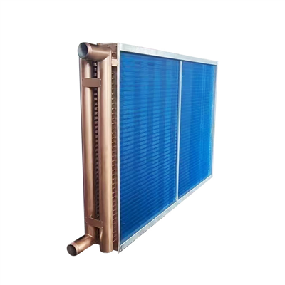 Rail Vehicle Evaporator